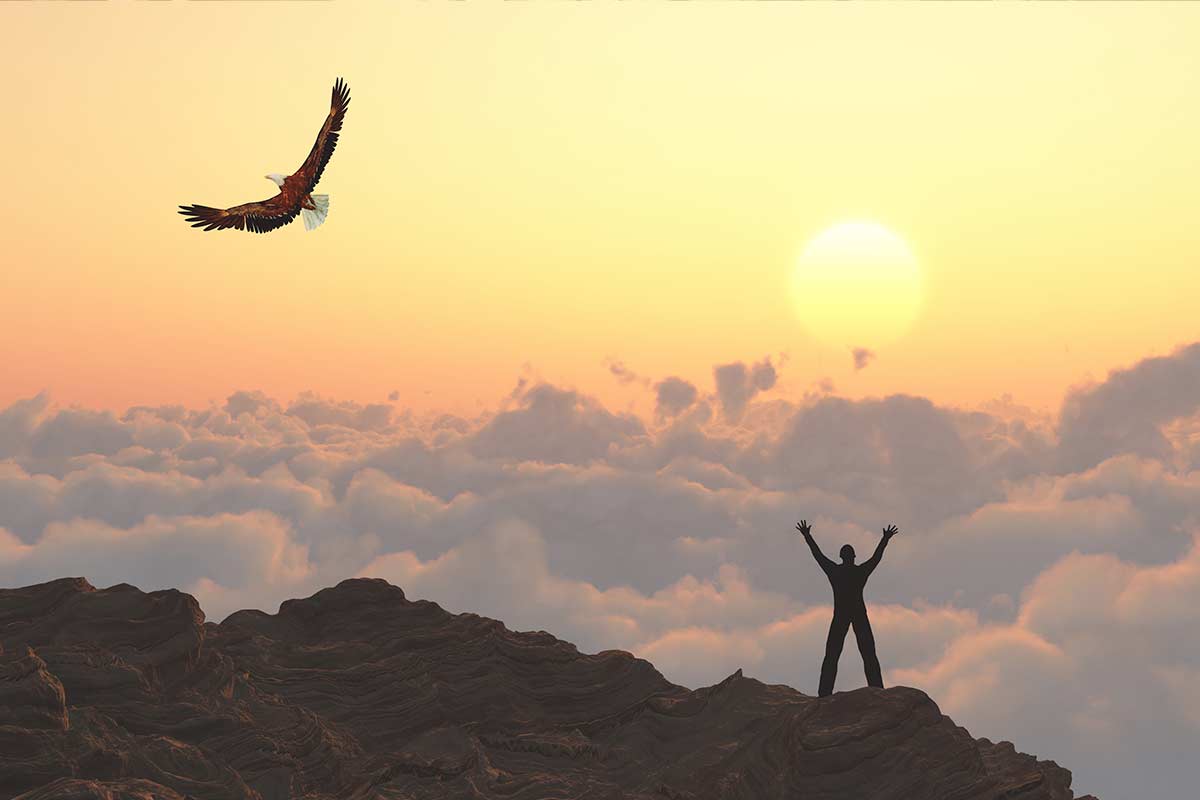 Krafttiere Schematische Arbeit mit Tieren