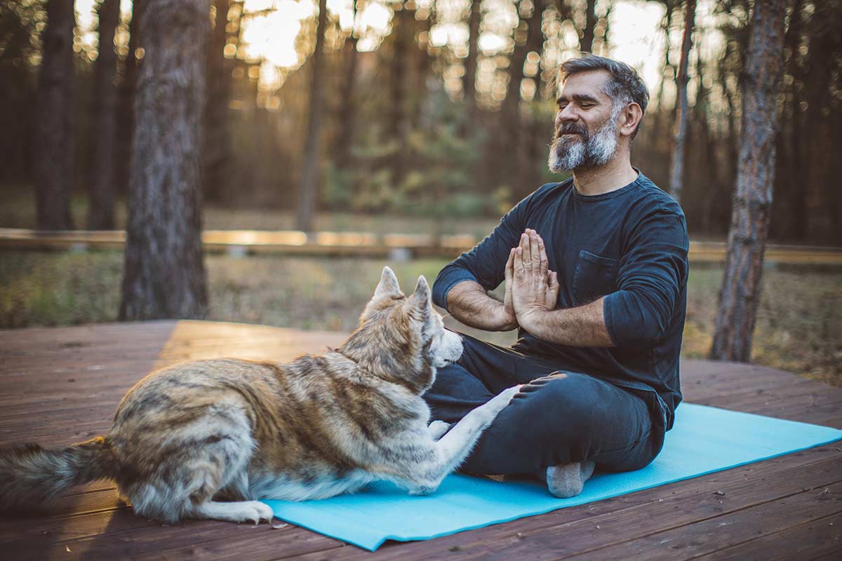 Mediale Arbeit mit Tieren. Tierkommunikation Ausbildung Saland