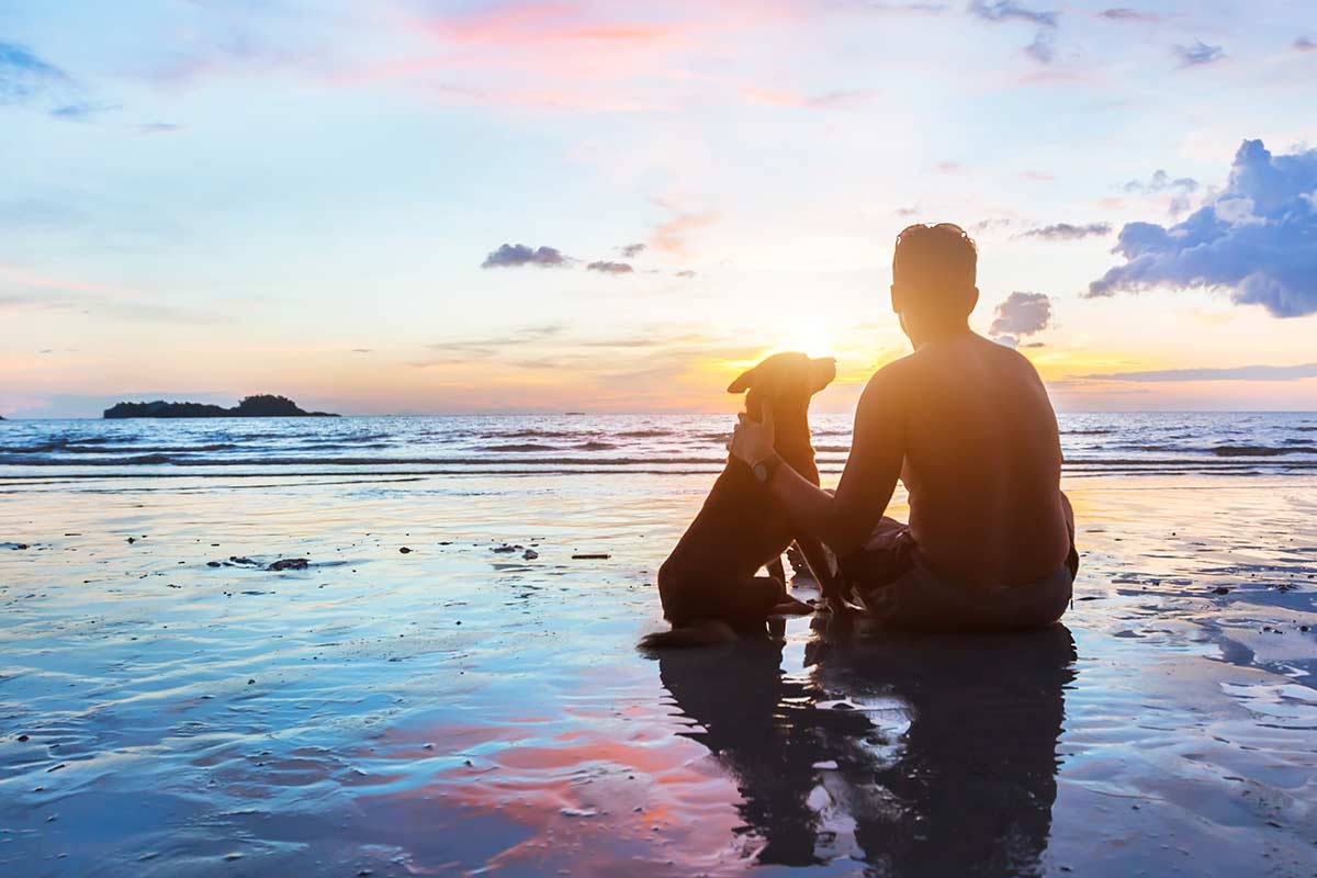 Systemik in der Behandlung von Tieren