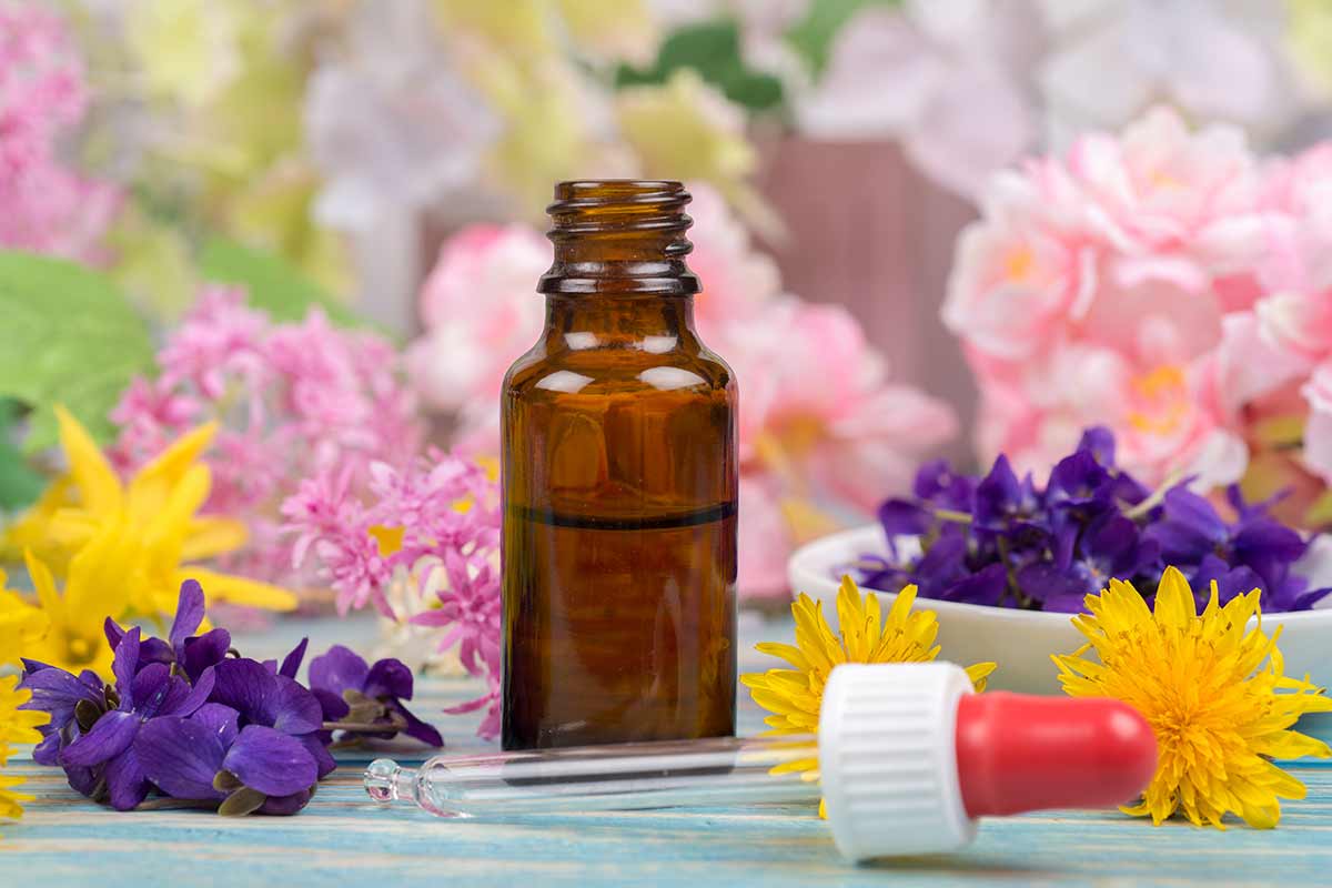 Bachblüten Therapie Praxis Tiergefluester Saland Zürich