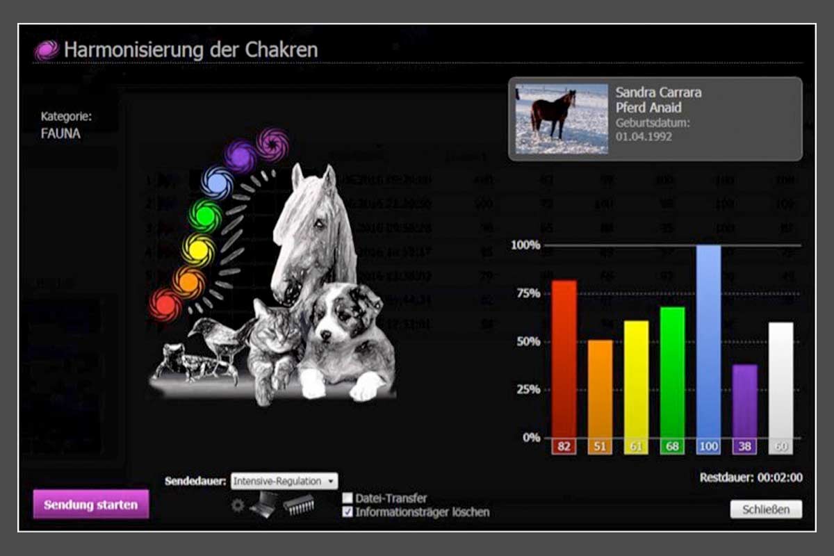 Medionik Therapie Auraausgleich Tiergefluester