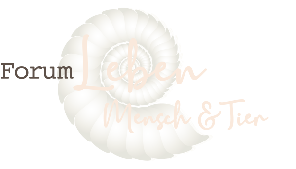 Forum Leben Quelle der Entwicklung