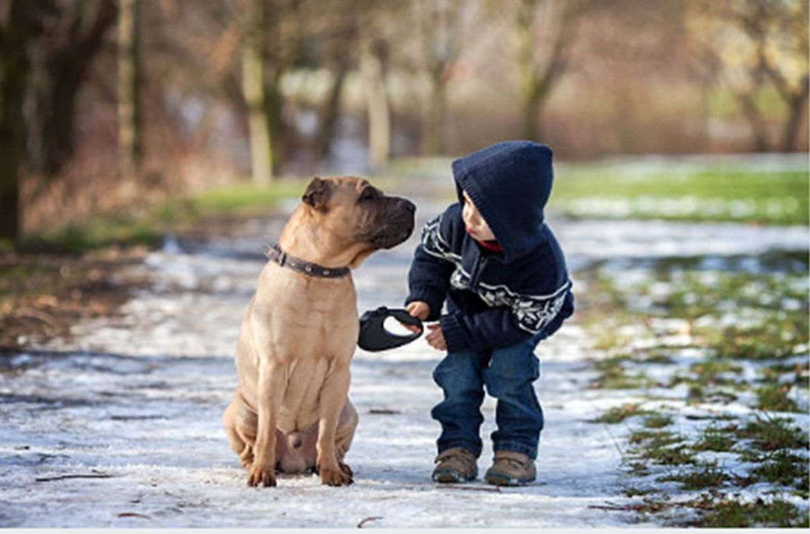 Tierkommunikation Schnuppern Workshop Tagesworkshop